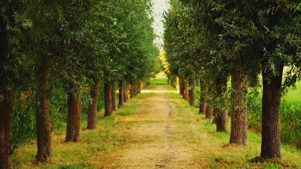 Kapila Farmlands