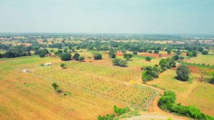 Kapila Farmlands