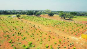 Kapila Farmlands