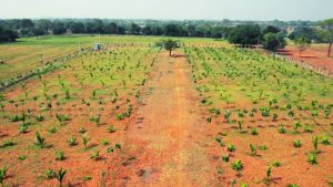 Kapila Farmlands