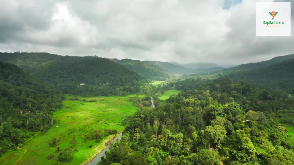farmland and agriculture land